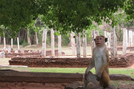 La perle de l’océan Indien 14J13N